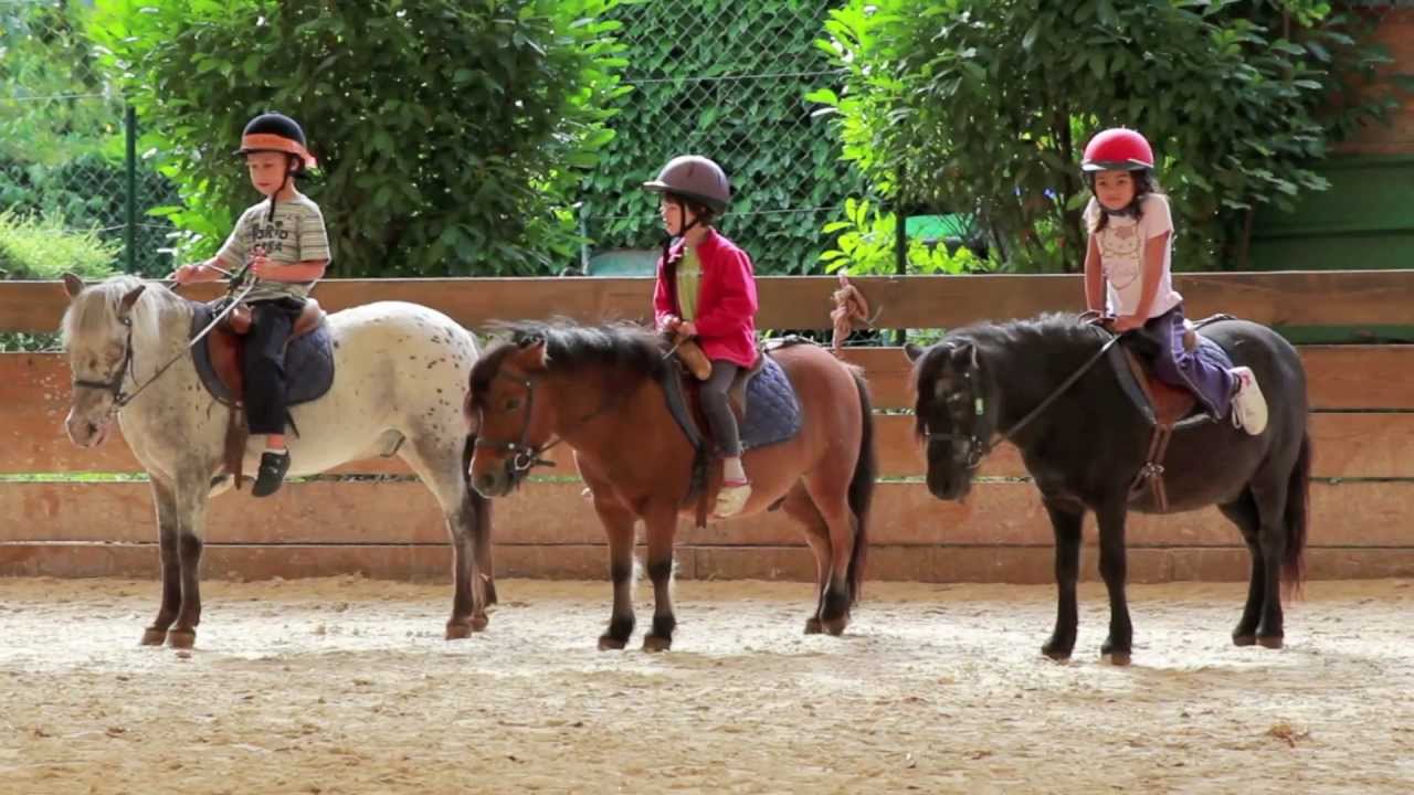 Stage poneys - Ecurie du Parc des Lyons