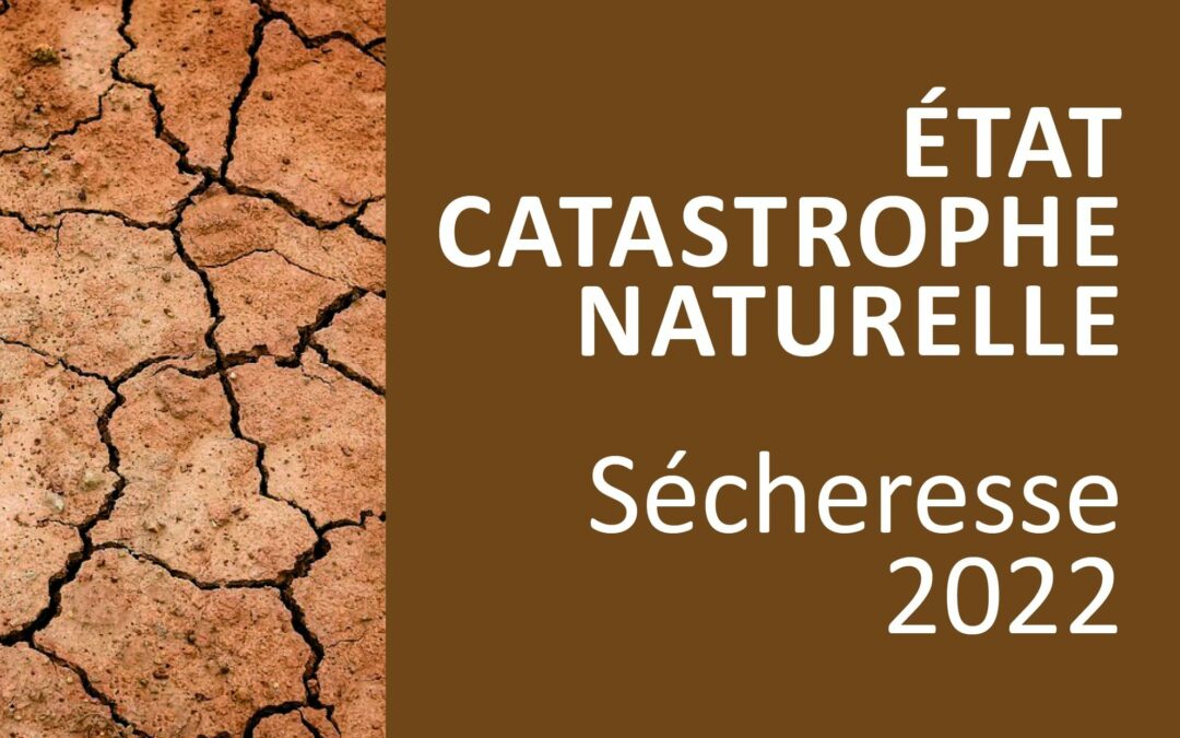 Non reconnaissance de l’état de catastrophe naturelle sur la commune pour la sécheresse 2022