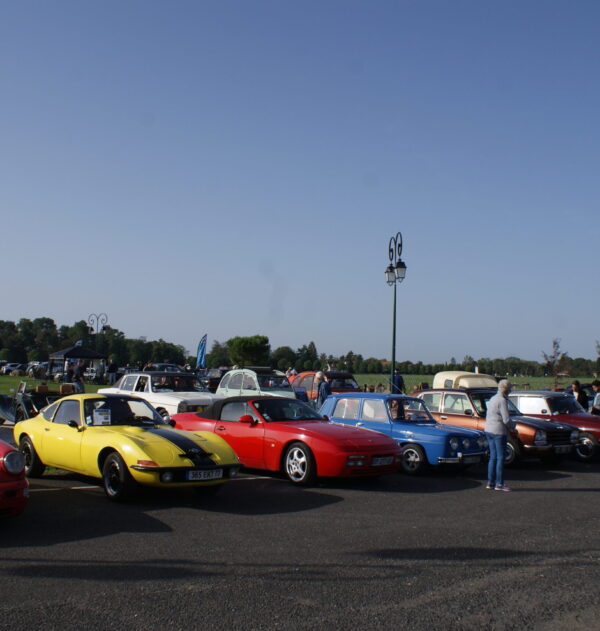 SONY DSC