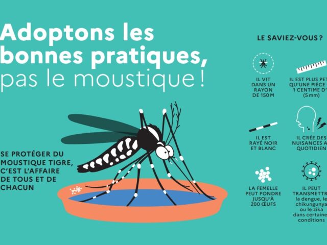 flyer_ARS_moustique_tigre_1